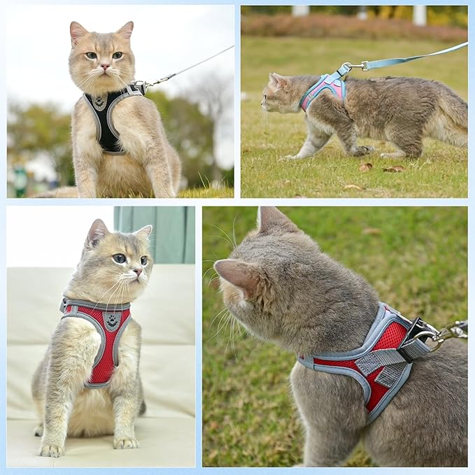SCENEREAL Cat Harness and Leash Set Escape Proof, Adjustable Soft Air Mesh Kitten Harnesses for Girls Boys Small Medium Big Cats, Reflective Light Travel Pet Walking Vest for Puppy Rabbit, Red XL