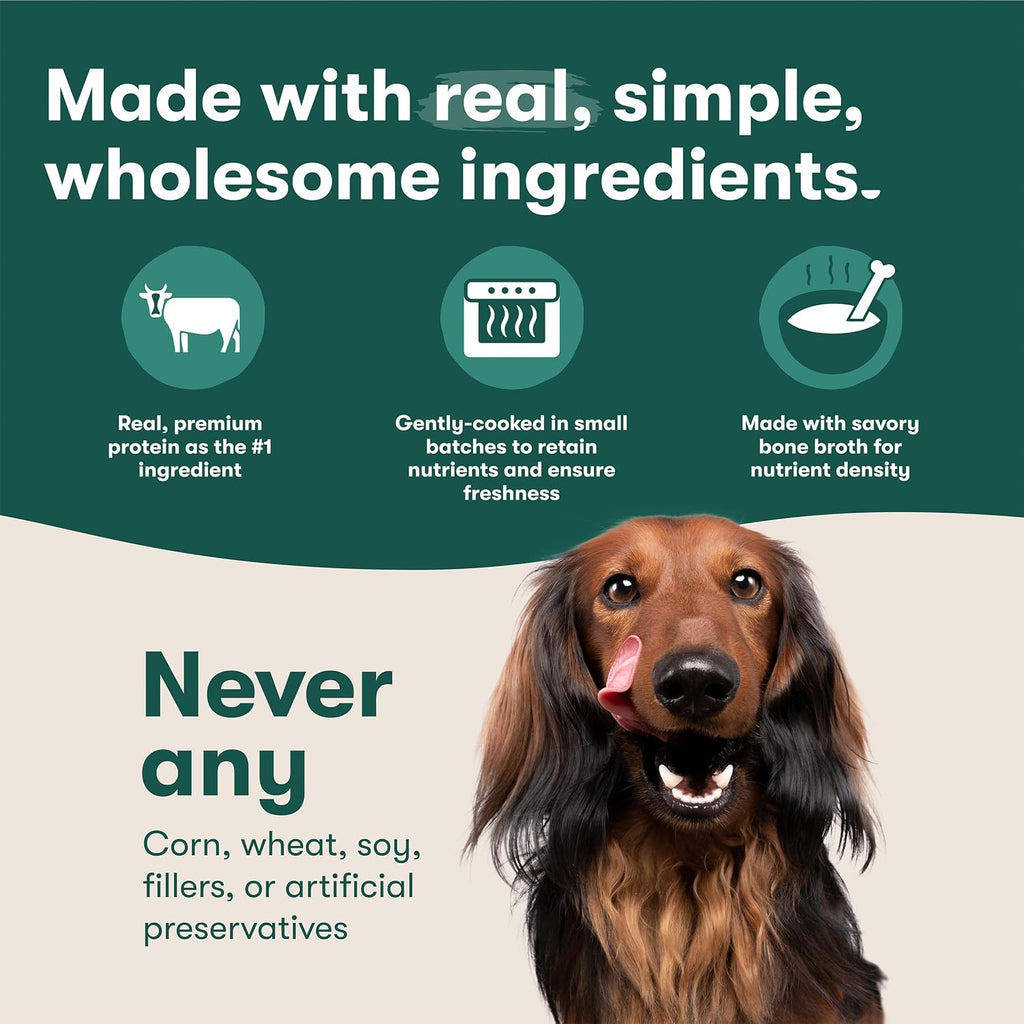 Jinx Chicken Wet Dog Food Toppers, Homemades 6 Pack, 9oz | Meal or Mix with Dry Dog Food, Made with Real Chicken, Bone Broth & No Fillers for Puppies, Adults & Seniors