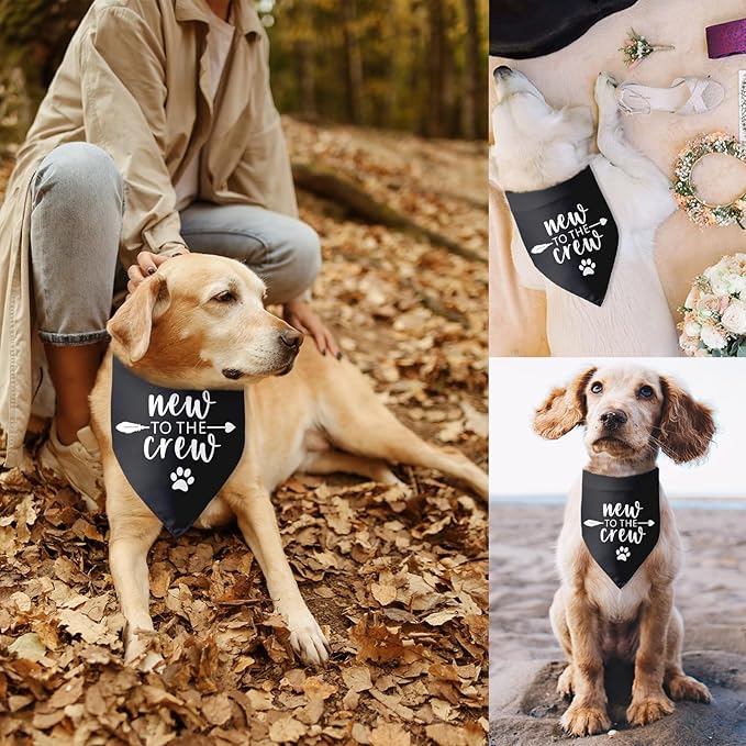 New to The Crew Dog Bandana New Puppy Announcement Gift for New Owners New Puppy Gift New Dog Announcement Photo Props Accessories for Small Medium Dogs Pets (Black)