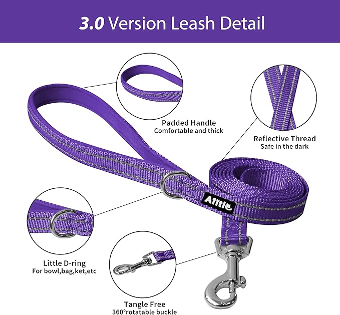 AIITLE No Pull Dog Harness and Leash Set, Step in Adjustable Dog Harness with Padded Vest for All Weather, Dog Leash with Soft Padded Handle, Easy to Put on Small and Medium Dogs Pure Purple S