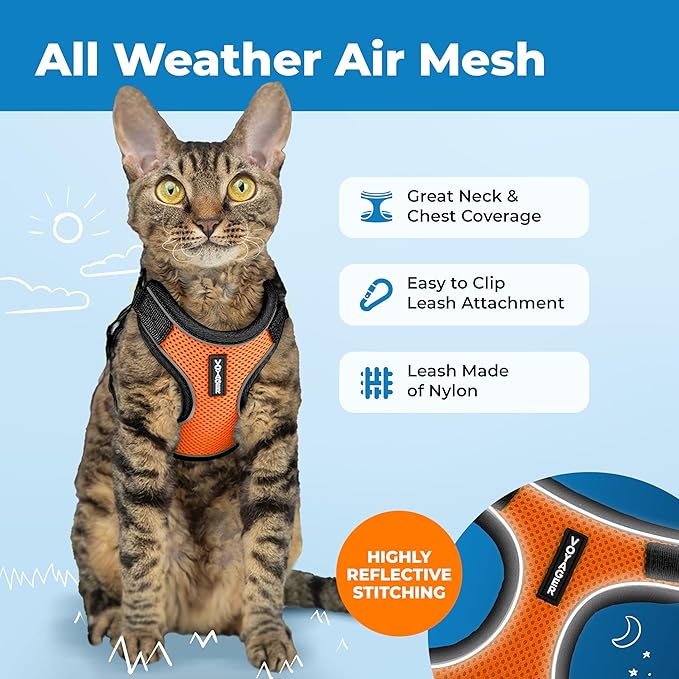 Voyager Escape-Proof Step-in Lock Cat Harness & 5ft Neoprene-Handle Leash Set All-Weather Mesh with Reflective Stitching for Small to Large Cats by Best Pet Supplies, Black Trim-Orange (327), XS
