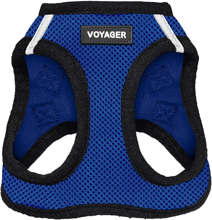 Best Pet Supplies Voyager Step-in Air Harness - All Weather Mesh, Reflective, No Pull Harness for Dogs, Cats - Secure with Hook & Loop Fastener, Buckle, Double D-Rings - Royal Blue/Black Trim, L