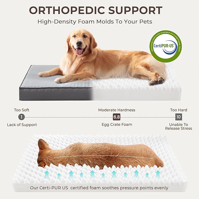 2-Pack Waterproof Dog Bed Medium Size Dogs, Plush Cushion & Orthopedic Egg-Crate Foam Mattress for Senior Dogs, Washable Dog Crate Bed with Removable Cover, Dark Grey