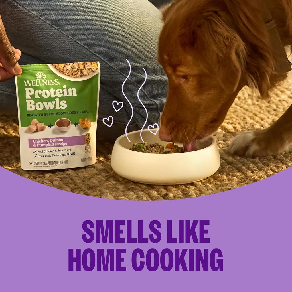 Wellness Protein Bowls Adult Wet Dog Food, Fresh Alternative, Wholesome Grains, Natural, Lamb, Red Rice, and Peas Recipe, 6.2 oz, Pack of 6 Pouches