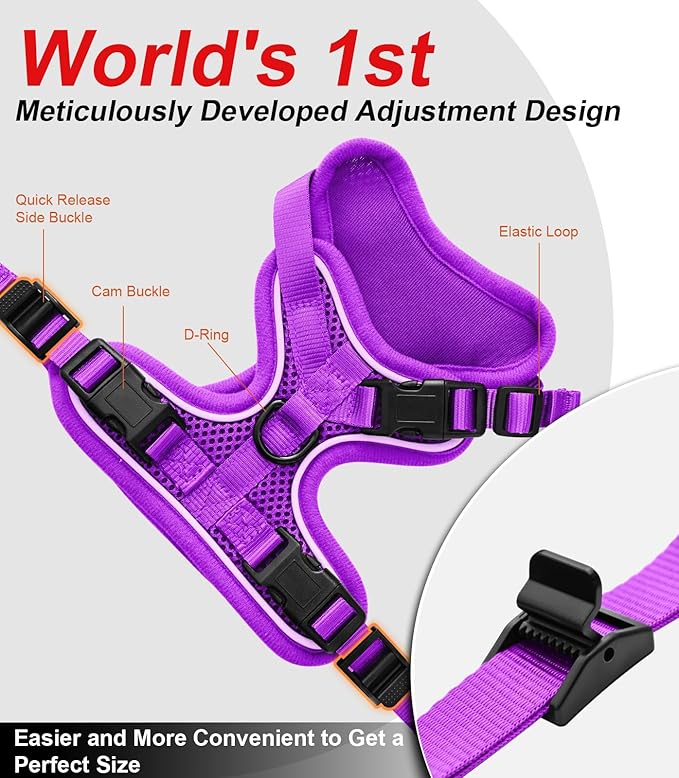 Cat Harness and Leash for Walking Escape Proof Soft Adjustable Cat Leash Breathable Comfortable Vest Easy to Wear Kitten Harness for Outdoor Travel Purple XS
