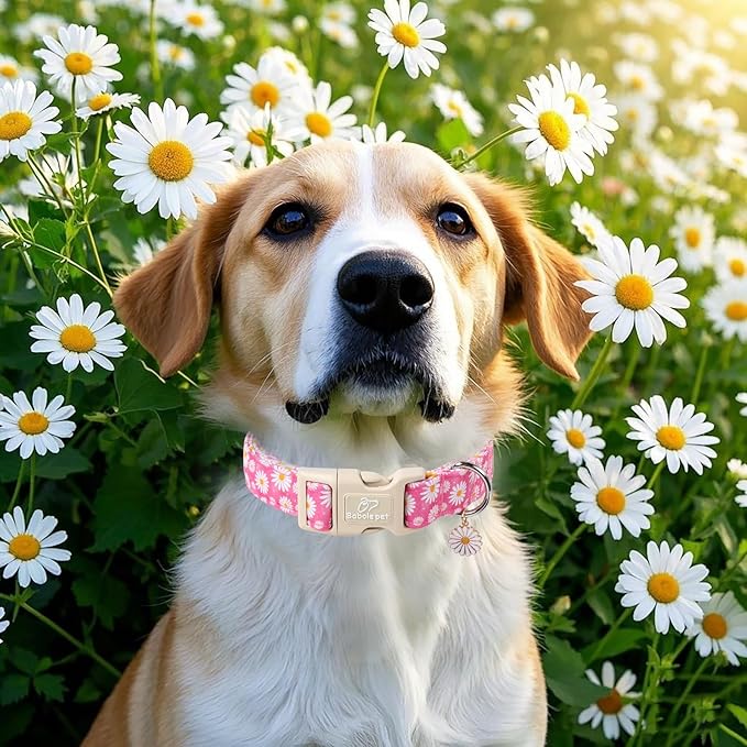 Summer Daisy Dog Collar, Cute Floral Adjustable Pink Dog Collars for Small Dogs, Lightweight Quick-Release Buckle Collar for Boy&Girl Dogs S