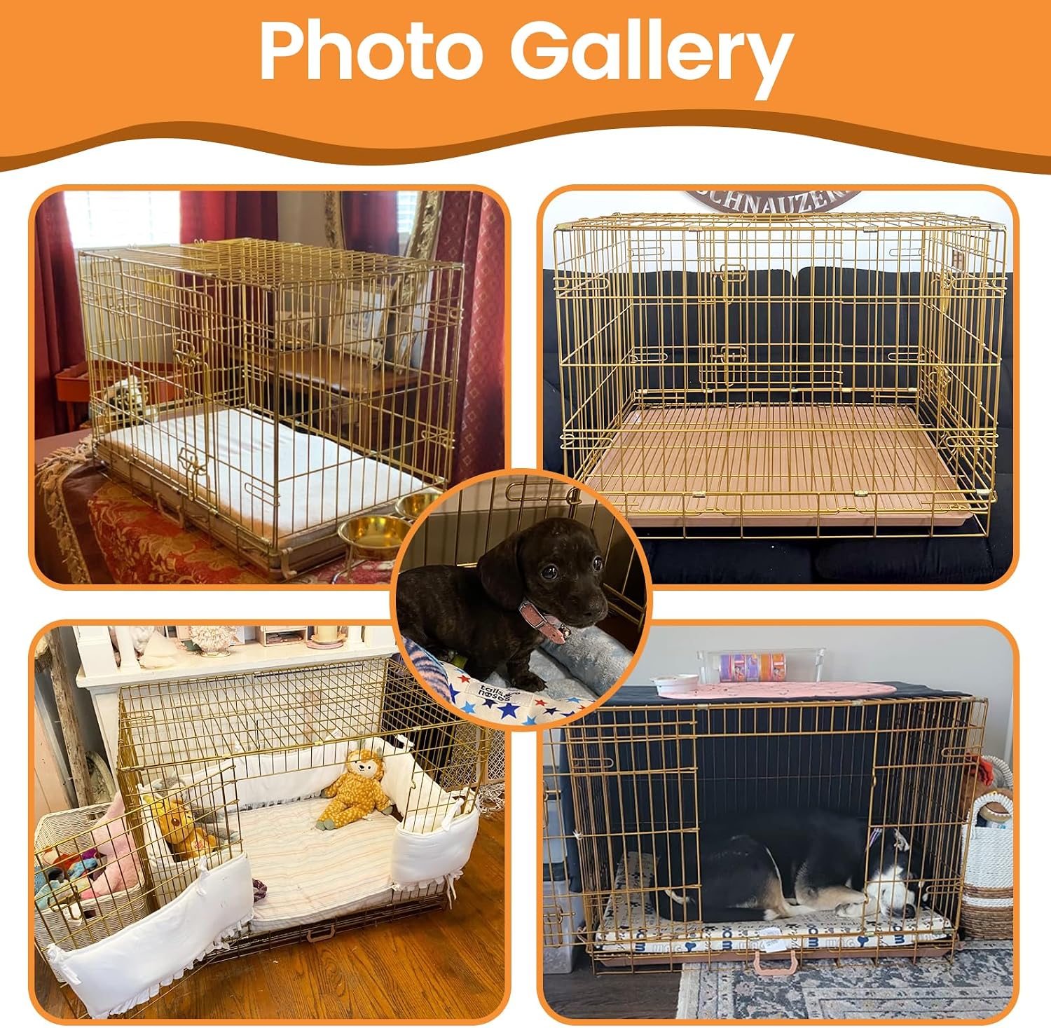 Homey Pet 24 Inch Small Dog Crate for Puppy, Copper Gold Wire Cage Kennel | Rust/Peel-Resist Nano-Coat, Collapsible, Removable Grid & Tray, Dual Doors w/ 4 Locks, Indoor Potty Training, Portable Travel