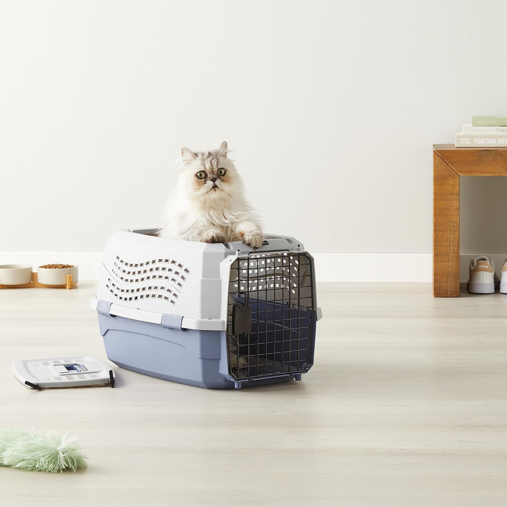 Amazon Basics Sturdy Portable 2-Door Top-Load Hard-Sided Pet Travel Carrier with Secure Ventilation, Handle, Front & Top Entry for Dogs, Cats, 22.8"L x 15"W x 13"H, Gray & Blue