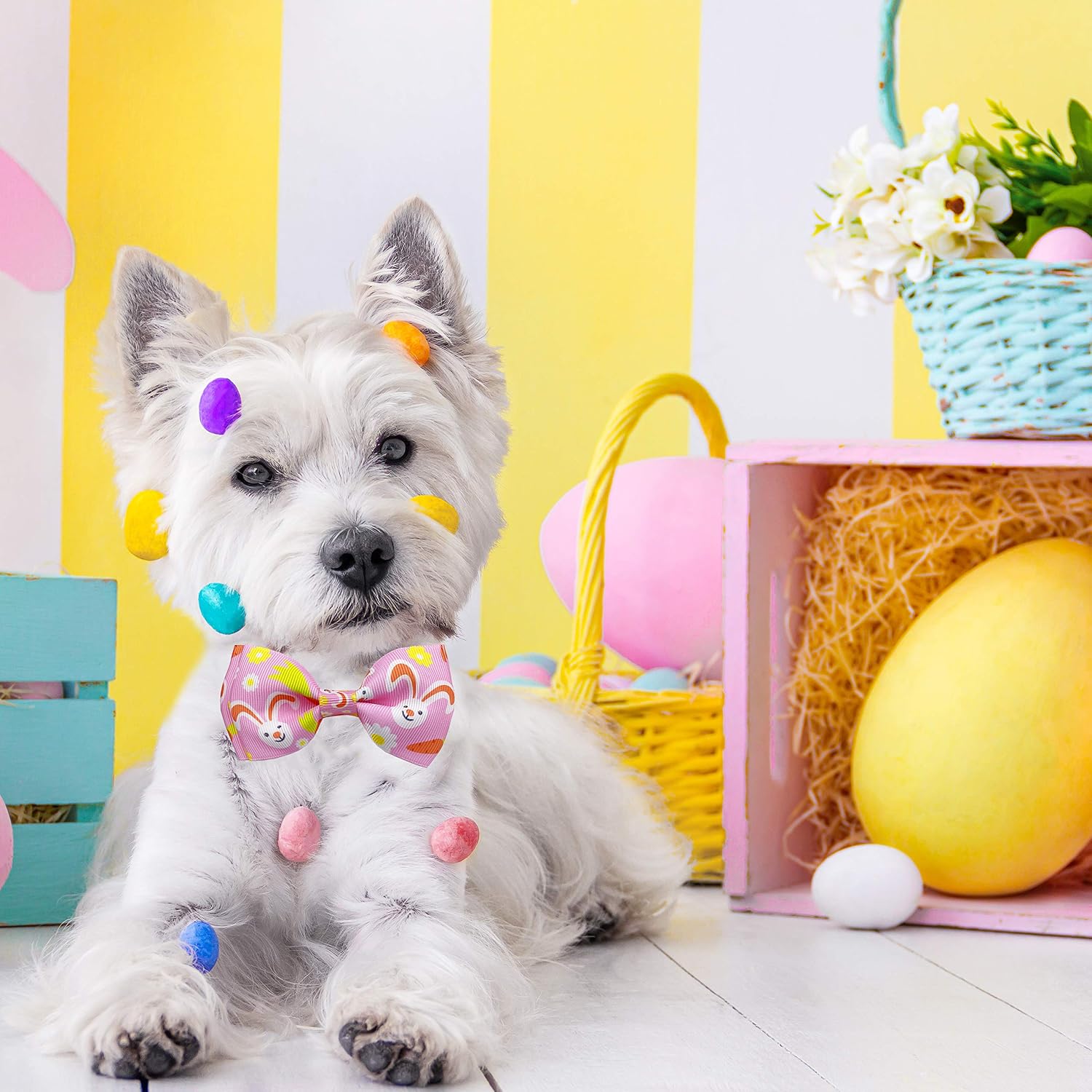 Easter Cat Collar with Bow Tie, Holiday 2 Pack Kitty Kitten Cute Bunny Carrot Collar for Girls and Boys (Hoppy Hour/Pink)