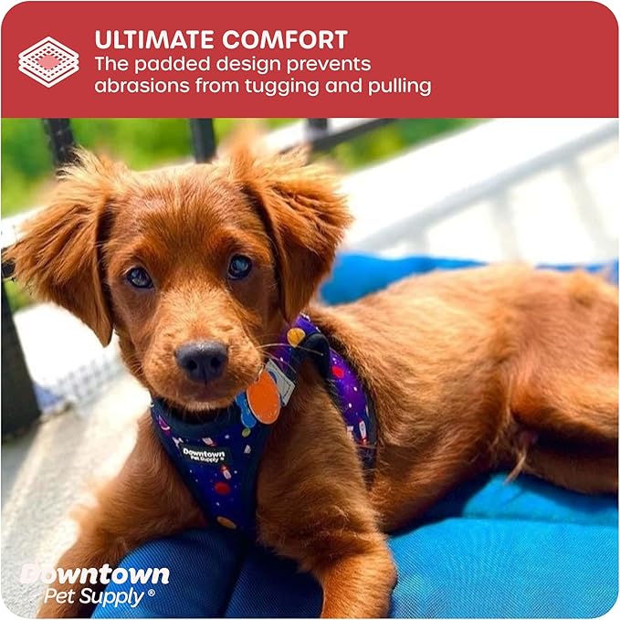 Downtown Pet Supply Step-in Dog Harness – No Pull, Adjustable Padded Mesh with Reflective Trim, Secure Buckle Strap – Comfortable & Breathable Small Dog Harness, Medium, Space