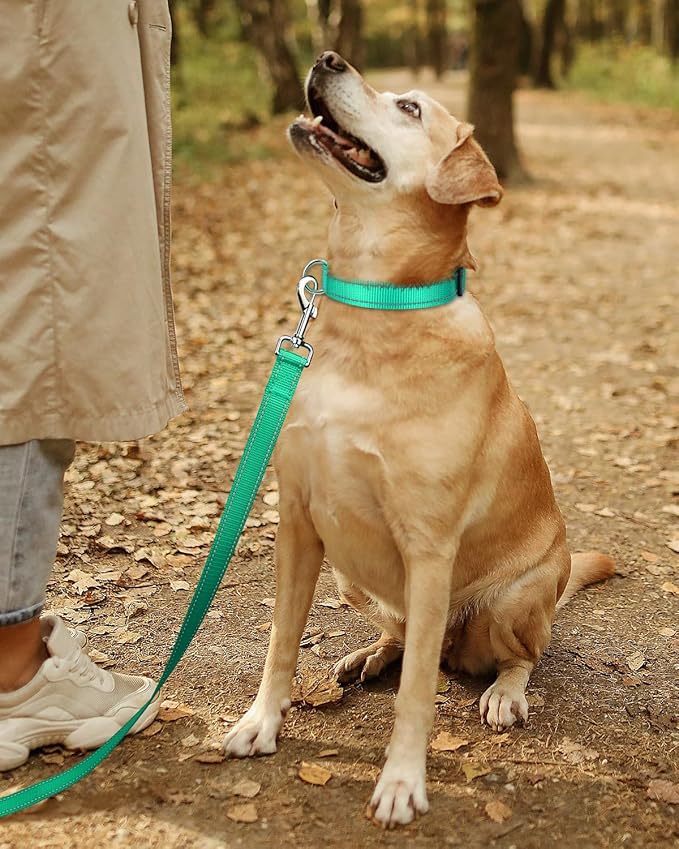 TagME Reflective Nylon Dog Collars, Adjustable Classic Pet Collar with Quick Release Buckle for Large Dogs, Turquoise, 1.0" Width