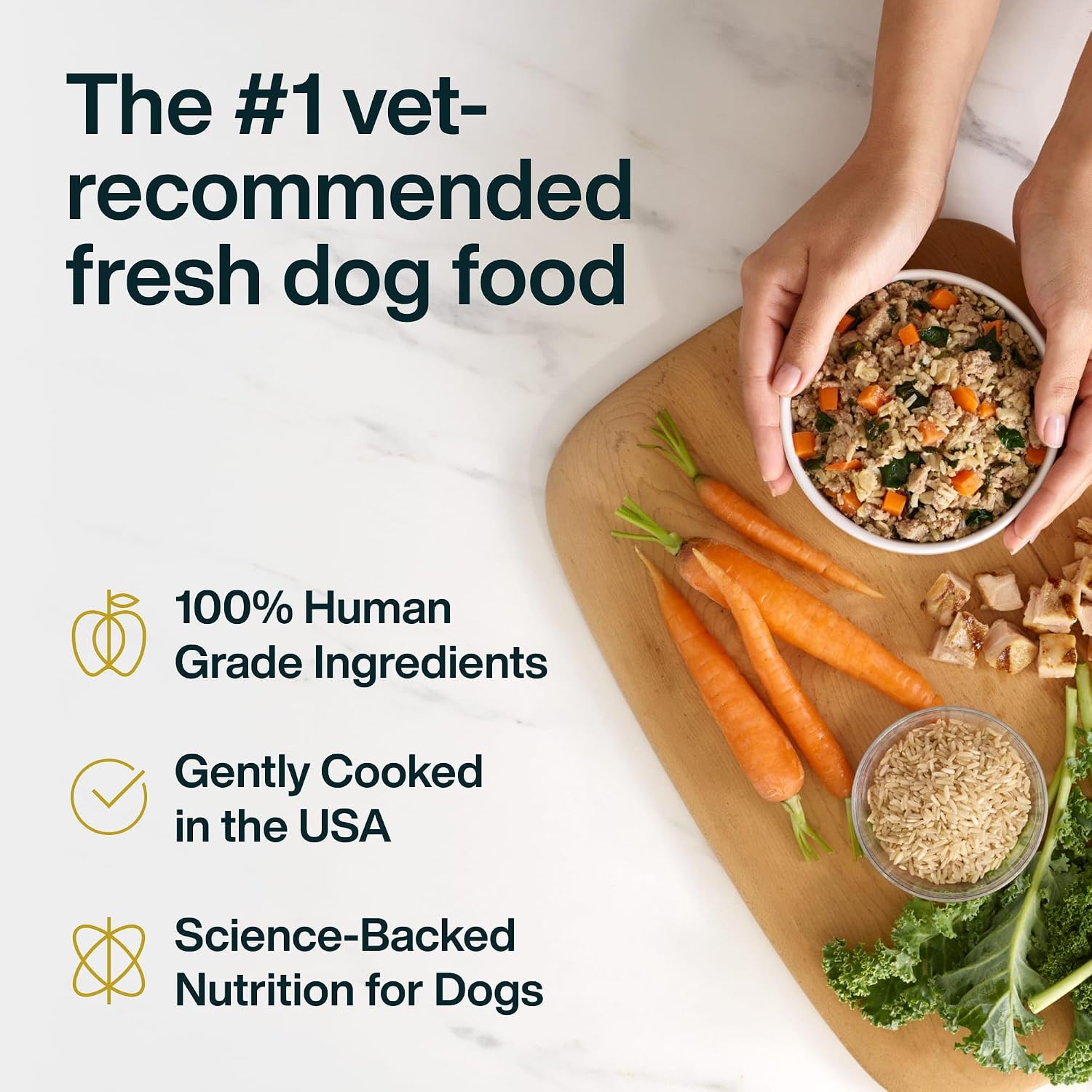 JustFoodForDogs JustFresh Fresh Wet Dog Food or Topper - Chicken, 7 Pack | Fresh Pet Meals and Dog Toppers with No Preservatives, Resealable Package, Human Grade, Home-Cooked Chicken, 12 Oz Pouches