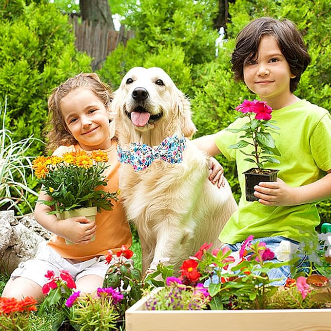 Lionheart glory Dog Collar Bow Collar Floral Dog Collar with Bow Tie Spring Summer Cute Collar Dog Boy or Girl Dog Collars Soft Durable Adjustable Dog Collars for Large Dogs, A:Flowers