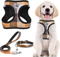 PUPTECK Adjustable Dog Harness Collar and Leash Set Step in No Pull Pet Harness for Small Medium Dogs Puppy and Cats Outdoor Walking Running, Soft Mesh Padded Reflective Vest Harnesses, Orange XS