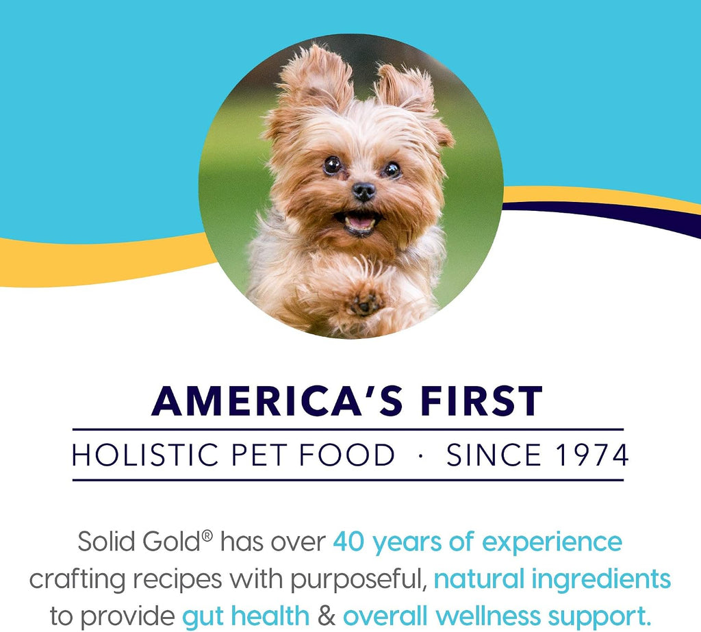 Solid Gold Mighty Mini Turkey Grain and Gluten Free Wet Dog Food, 3.5 oz.