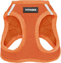 Best Pet Supplies Voyager Step-in Air Harness - All Weather Mesh, Reflective, No Pull Harness for Dogs, Cats - Secure with Hook & Loop Fastener, Buckle, Double D-Rings - Orange, M