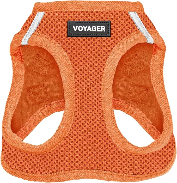 Best Pet Supplies Voyager Step-in Air Harness - All Weather Mesh, Reflective, No Pull Harness for Dogs, Cats - Secure with Hook & Loop Fastener, Buckle, Double D-Rings - Orange, M