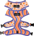 Lucy & Co. Purple with Coral Floral Wave, Cute Reversible Dog Harness Walking Halter - Best Designer Pet Harnesses for XS - XL Dogs - Padded Adjustable Vest for Easy Walking (X-Small)