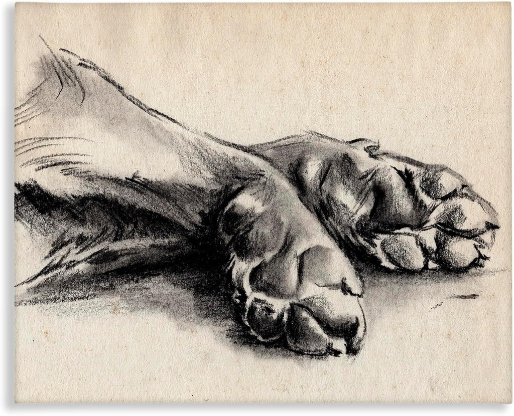 'Dog Paw Charcoal Design'| Canvas Art | Stupell Industries | 20 x 16 Inches, Easy to Hang and Sturdy, Made in USA, by Jennifer Paxton Parker