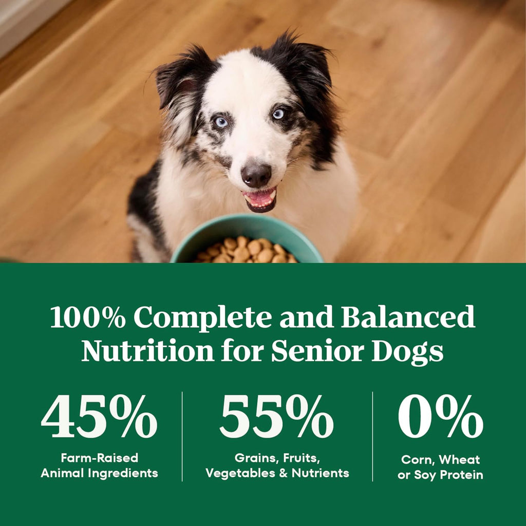 Nutro Natural Choice Senior Dry Dog Food, Chicken & Brown Rice, 13 lb | Non-GMO, Real chicken #1 ingredient, no corn, wheat, soy, supports bones, digestion & immunity, dental health & skin/coat