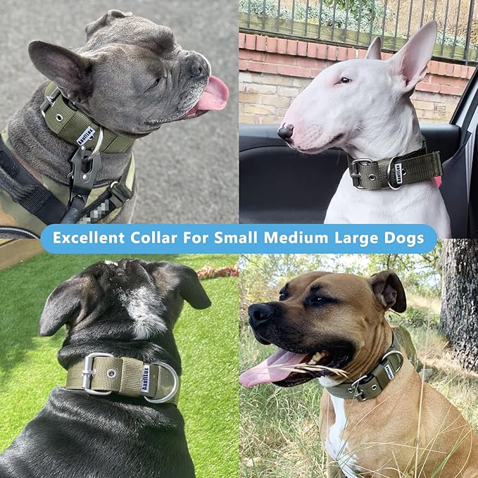 Heavy Duty Tactical Dog Collar - 1.5" Width Military Durable Thick Nylon with Adjustable Metal D Ring & Buckle Working Training K9 Collar for Medium Large Dogs (M(17"-20"), Army Green)