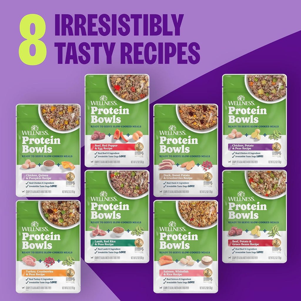 Wellness Protein Bowls Adult Wet Dog Food, Fresh Alternative, Wholesome Grains, Natural, Lamb, Red Rice, and Peas Recipe, 6.2 oz, Pack of 6 Pouches