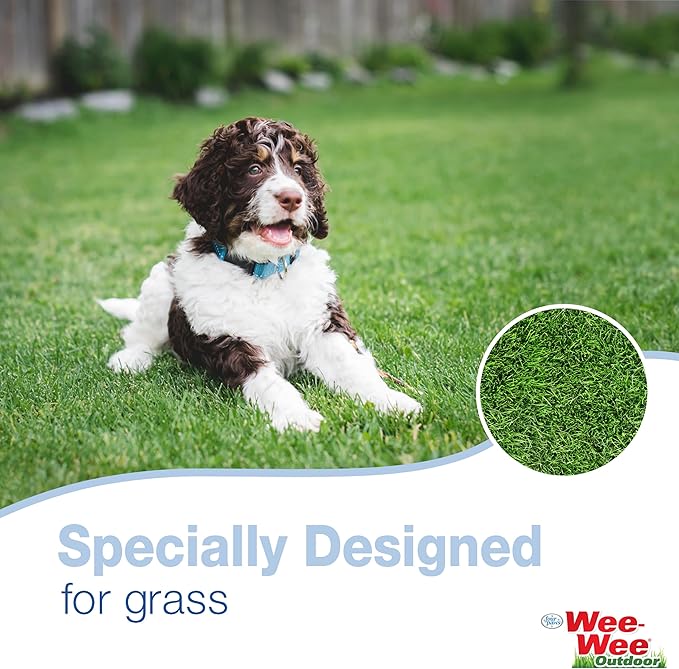 Four Paws Allen's Spring Action Dog Scooper For Hard Surfaces 3.75" x 4.5" x 15.5"