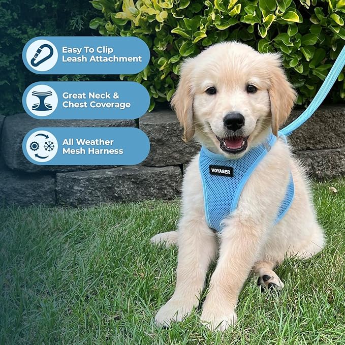 Best Pet Supplies Voyager Step-in Air All Weather Mesh Harness and Reflective Dog 5 ft Leash Combo with Neoprene Handle, for Small, Medium and Large Breed Puppies - Set (Baby Blue), XXS