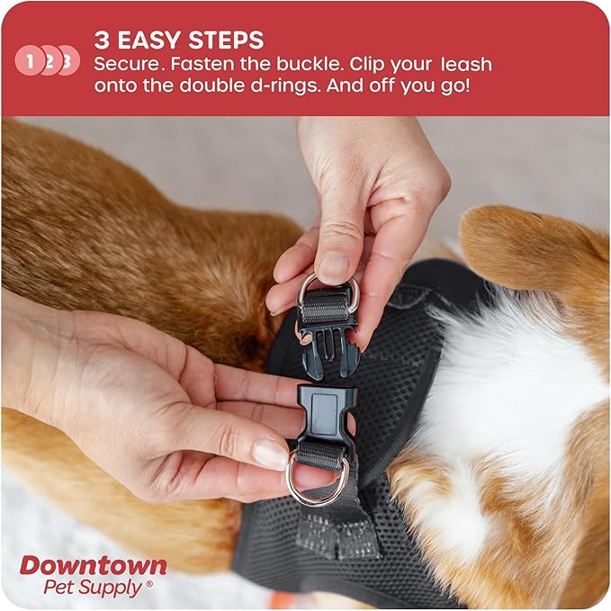 Downtown Pet Supply Step-in Dog Harness – No Pull, Adjustable Padded Mesh with Reflective Trim, Secure Buckle Strap – Comfortable & Breathable Small Dog Harness, Medium, Charcoal