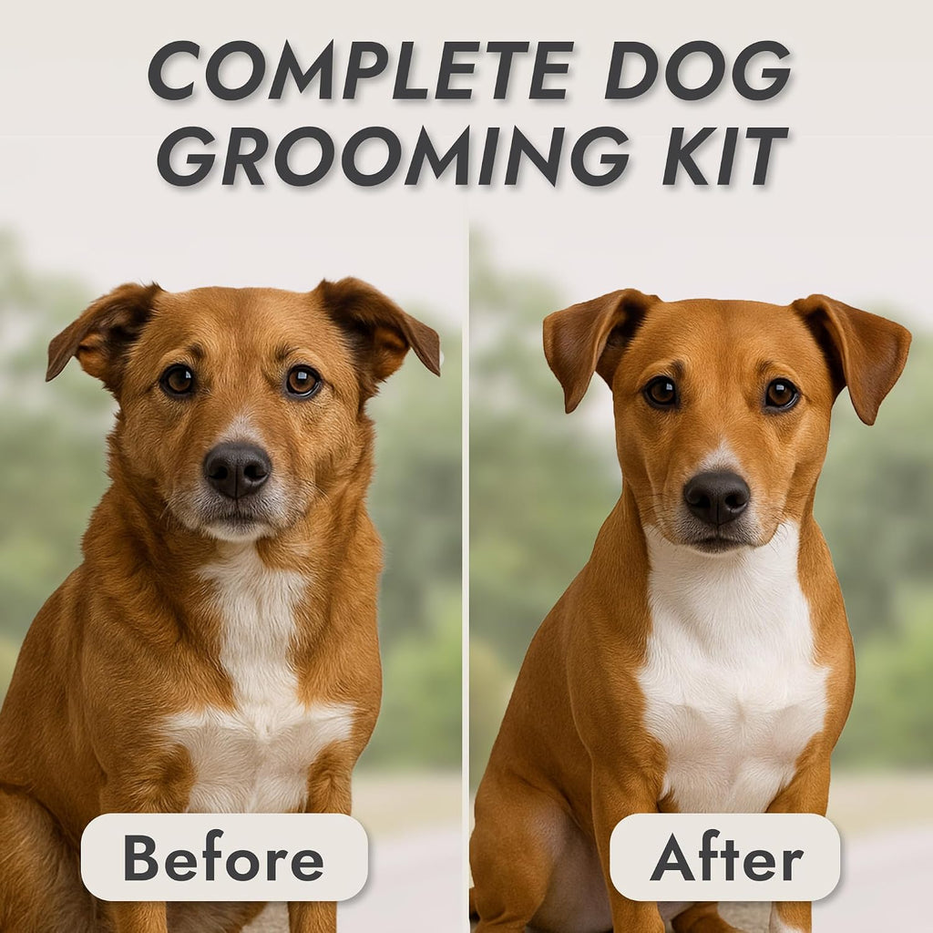 Kong 2-Speed Dog Clipper Grooming Kit Waterproof 6 Combs Medium Coat Types