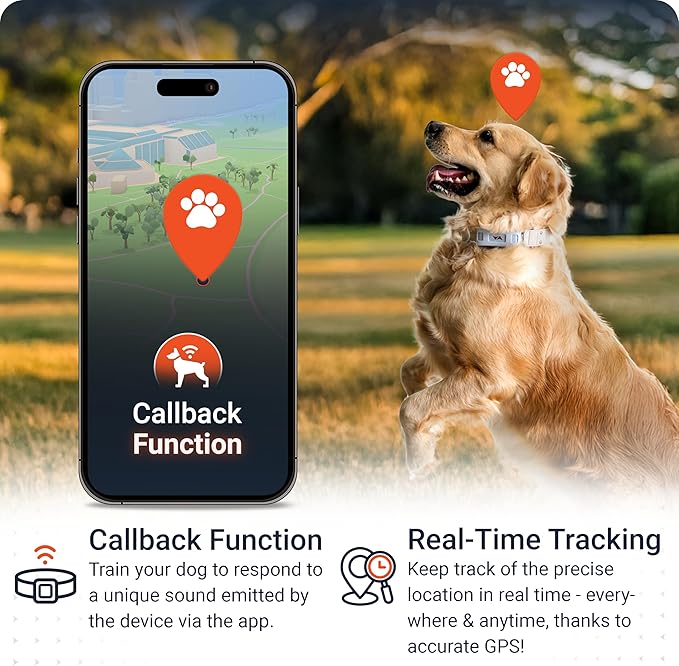 PAJ GPS Dog Tracker - 4G Real-Time Tracking & Runaway Alerts - Waterproof, Long-Range, Smart App Monitor Health & Activity - Fits Any Collar, Mini Device Navigator Chip - Subscription Required - Blue