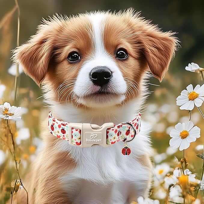 Ladybug Dog Collar for Medium Dogs - Cute Spring/Summer Dog Collar, Lightweight Adjustable Cartoon Love Bug Garden Mom Dogs Collars with Quick Release Buckle M