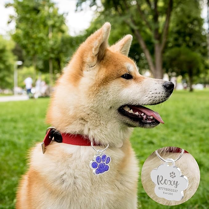 EDSG Cat Dog Tags Personalized for Pets, Dog Name Tags Cat Name ID Tag, Engraved Dog Tags Dog ID Tags Small Glitter Bling ID Tag Paw Print for Cat Pet Dog Puppy(Red,Design 2)