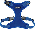 Voyager Step-in Pet Harness - All Weather Mesh, Adjustable Step in Harness for Cats and Dogs by Best Pet Supplies - Royal Blue, S