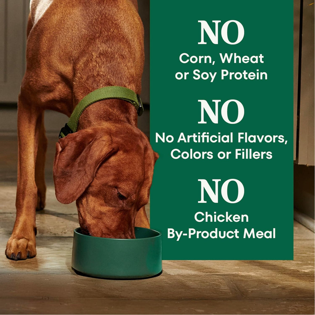 Nutro Natural Choice Senior Dry Dog Food, Chicken & Brown Rice, 13 lb | Non-GMO, Real chicken #1 ingredient, no corn, wheat, soy, supports bones, digestion & immunity, dental health & skin/coat
