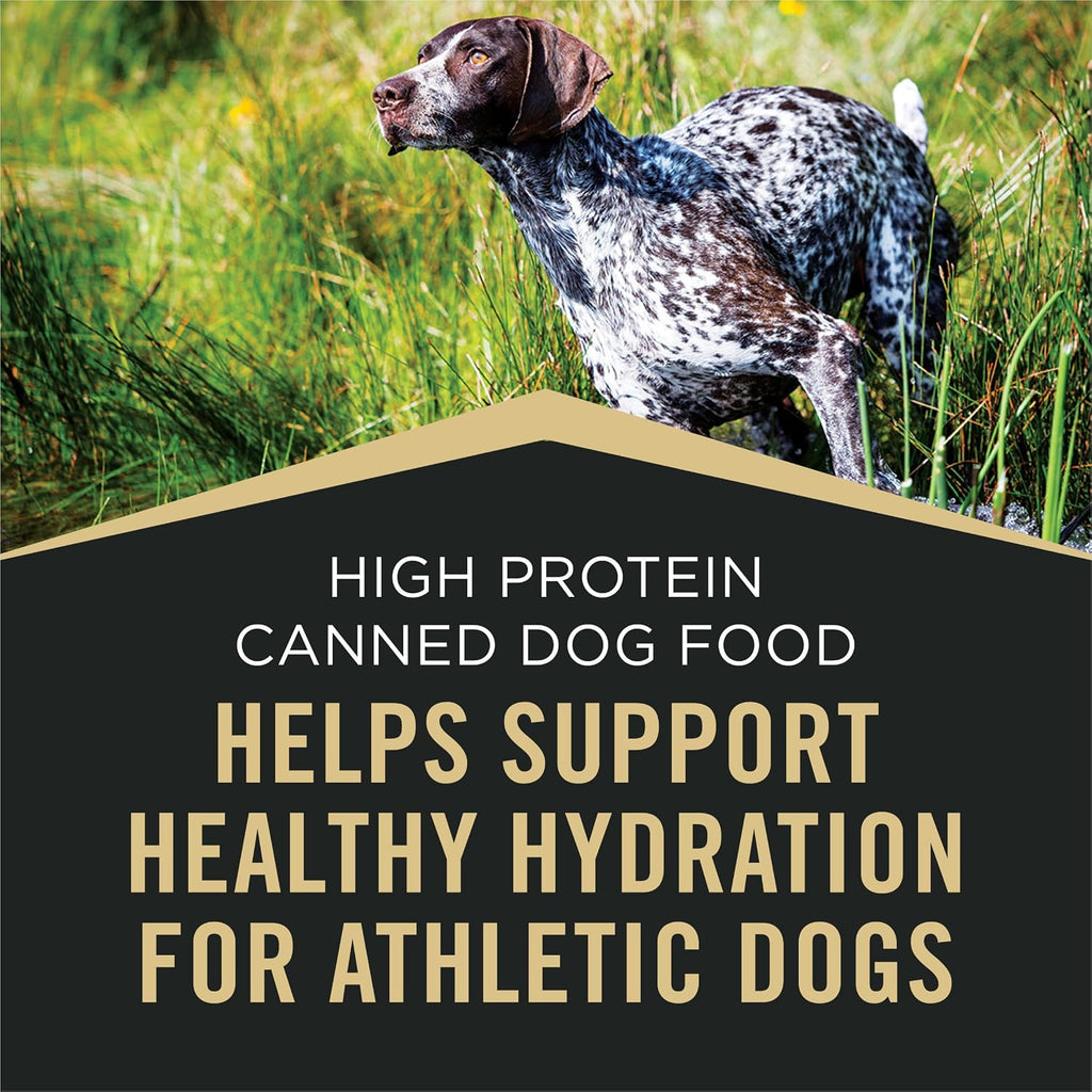 Purina Pro Plan Sport High Protein Dog Food Turkey, Duck and Quail Entree Wet Dog Food - (Pack of 12) 13 Oz. Cans