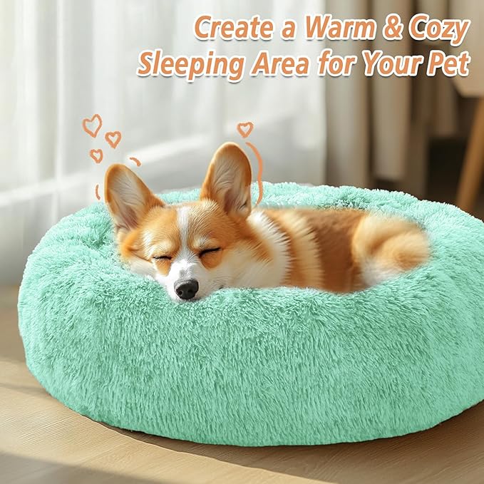JOLLYVOGUE Calming Small Dog & Cat Bed for Indoor Cats - 20 inches Washable Donut Bed for Kittens & Puppies, Anti-Anxiety Round Fluffy Plush Pet Beds (Fits up to 15 lbs, Mint Green)