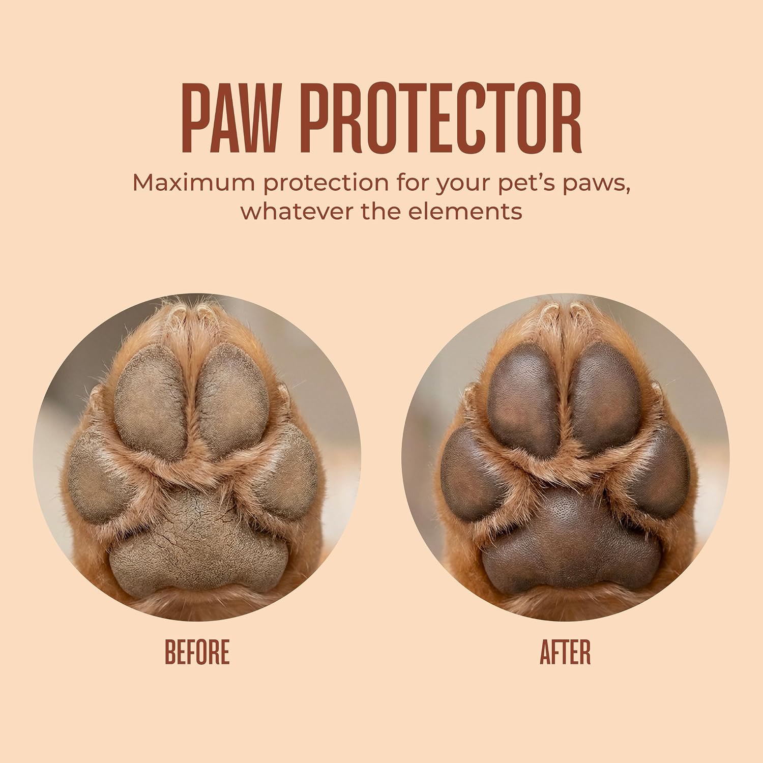 Paw Protector, Lick-Safe Dog Paw & Nose Balm for Hot Pavement | Dog Paw Balm for Hot Pavement & Cold Weather, Hydrates & Protects Paws, Easy to Apply, Vet-Approved & Dermatologist Tested