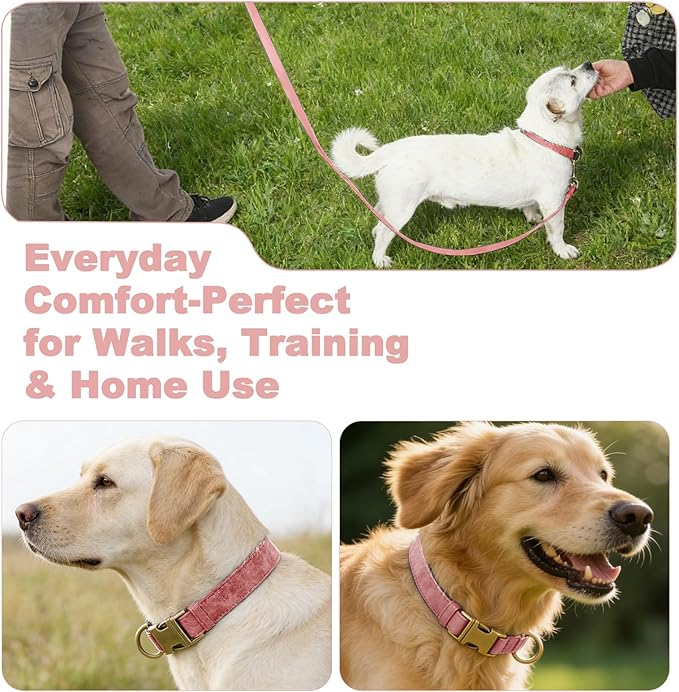 Genuine Leather Dog Collar - Adjustable Pet Collar with Quick Release Metal Buckle, Soft Skin Friendly Real Leather Collar for Small, Medium, Large Dogs (Pink Collar + Rope, S：Fit 8-16" Neck)