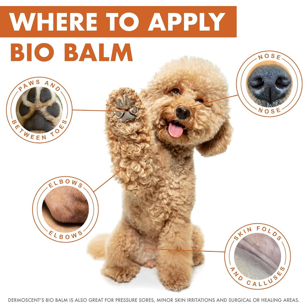 Dermoscent | Bio Balm | Natural, Organic, Healing Dog Paw Balm | Skin & Paw Soother For Dogs With Dry, Cracked, & Rough Paws | Veterinarian-Approved Paw Pad Moisturizer & Protector