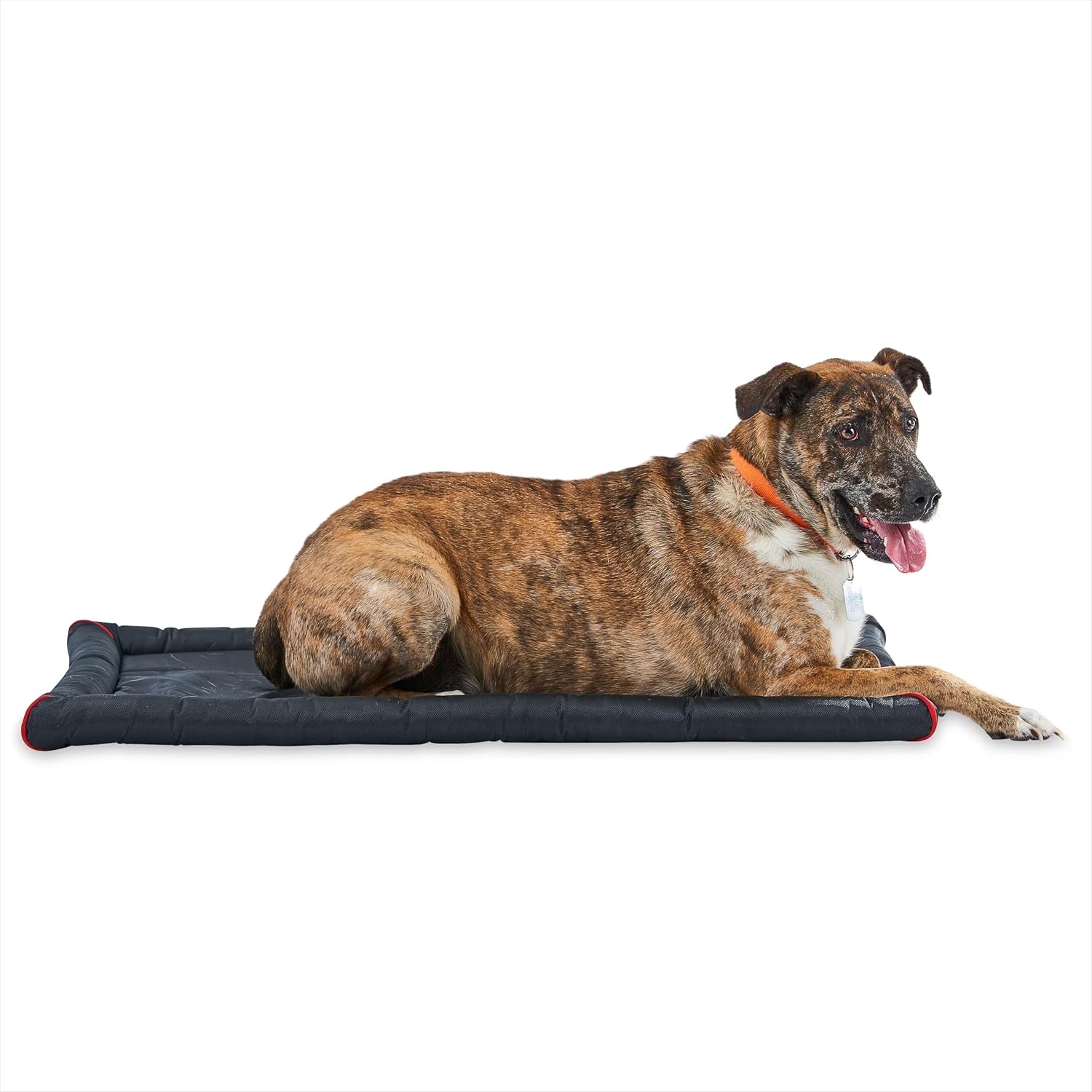 41"×27" Black Water Resistant Bolster Dog Crate Mat for 42 Inch Crate | Heavy Duty, Wipe Clean, Large Dogs, Portable Pet Cushion, Carrier Travel