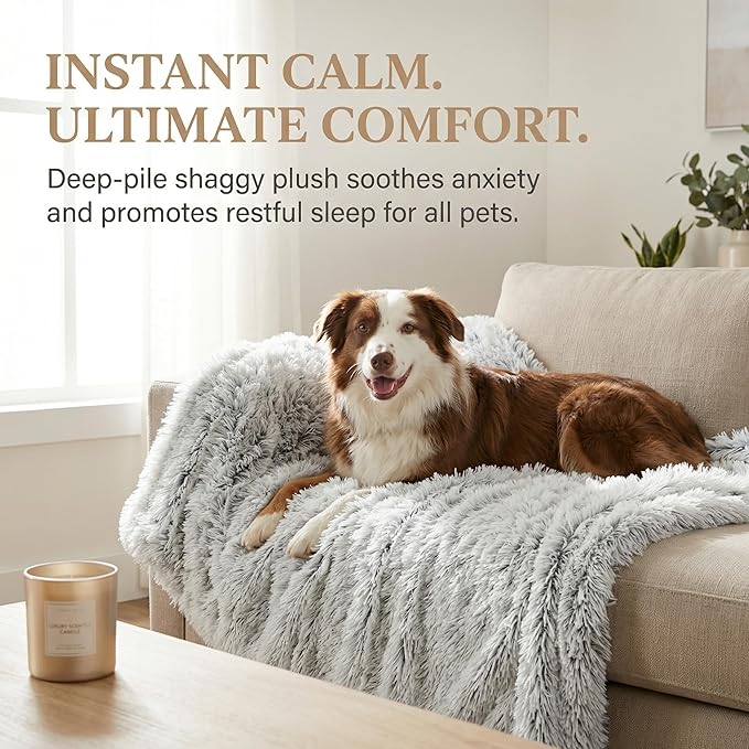 PJYuCien Dog Blankets for Medium Dogs Washable - Fluffy Fuzzy Cat Blanket for Couch, Puppy Throw for Furniture with Polyester Fleece, Super Soft Plush for Pet Kitten Doggy, Grey, 30" x 40"