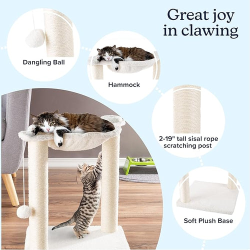 19-Inch Cat Scratching Post with Hammock ? Sisal Fabric and Carpet Small Cat Tree, Hanging Ball Toy for Adult Cats and Kittens by PETMAKER (White)