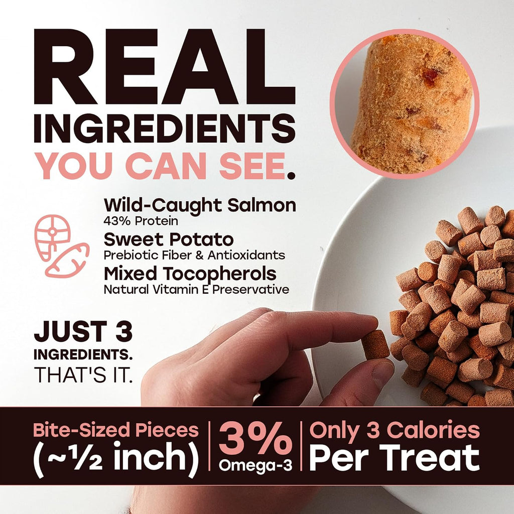 Freeze-Dried Raw Salmon Dog Treats - Single Protein, Grain-Free | Wild-caught salmon with sweet potato and omega-3; no fillers; training reward or kibble topper