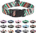 Mercano Adjustable Dog Collar - Special Design Patterns, Soft Nylon Comfortable Durable Pet Collar for Small Medium Large Dogs (S, Ethnic Green)