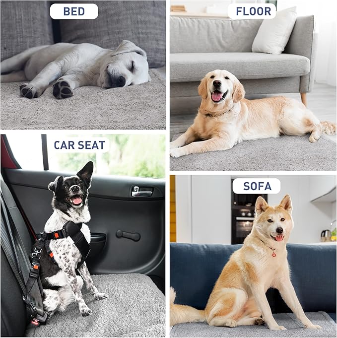 Kritter Planet Waterproof Dog Blankets for Small Dogs, Puppy Blankets for Litter, Cat Blankets for Indoor Cats Washable, Reversible Fleece Pet Mat for Crates, Car Seats, and Furniture