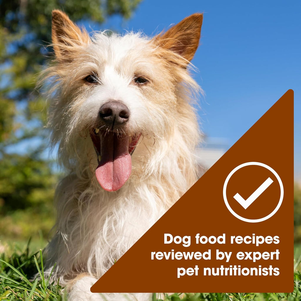 Nature’s Recipe Grain Free Chicken Recipe, Chicken & Venison Recipe and Chicken & Duck Recipe in Savory Broth Variety Pack Wet Dog Food, 12-2.75 oz. Cups, 2 Count