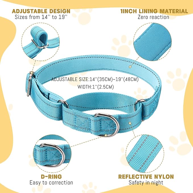 Cunno 12 Pcs Martingale Collar for Medium Dogs Reflective Dog Collar with Durable Metal Buckle Adjustable Nylon Pet Prevent Slipping Out for Pupplies, 12 Colors(Medium)