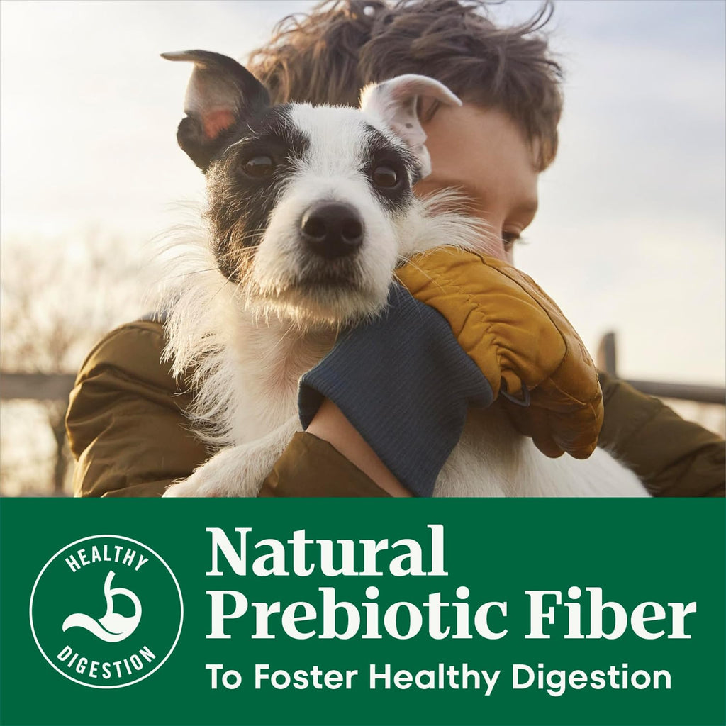 Nutro Natural Choice Senior Dry Dog Food, Chicken & Brown Rice, 13 lb | Non-GMO, Real chicken #1 ingredient, no corn, wheat, soy, supports bones, digestion & immunity, dental health & skin/coat