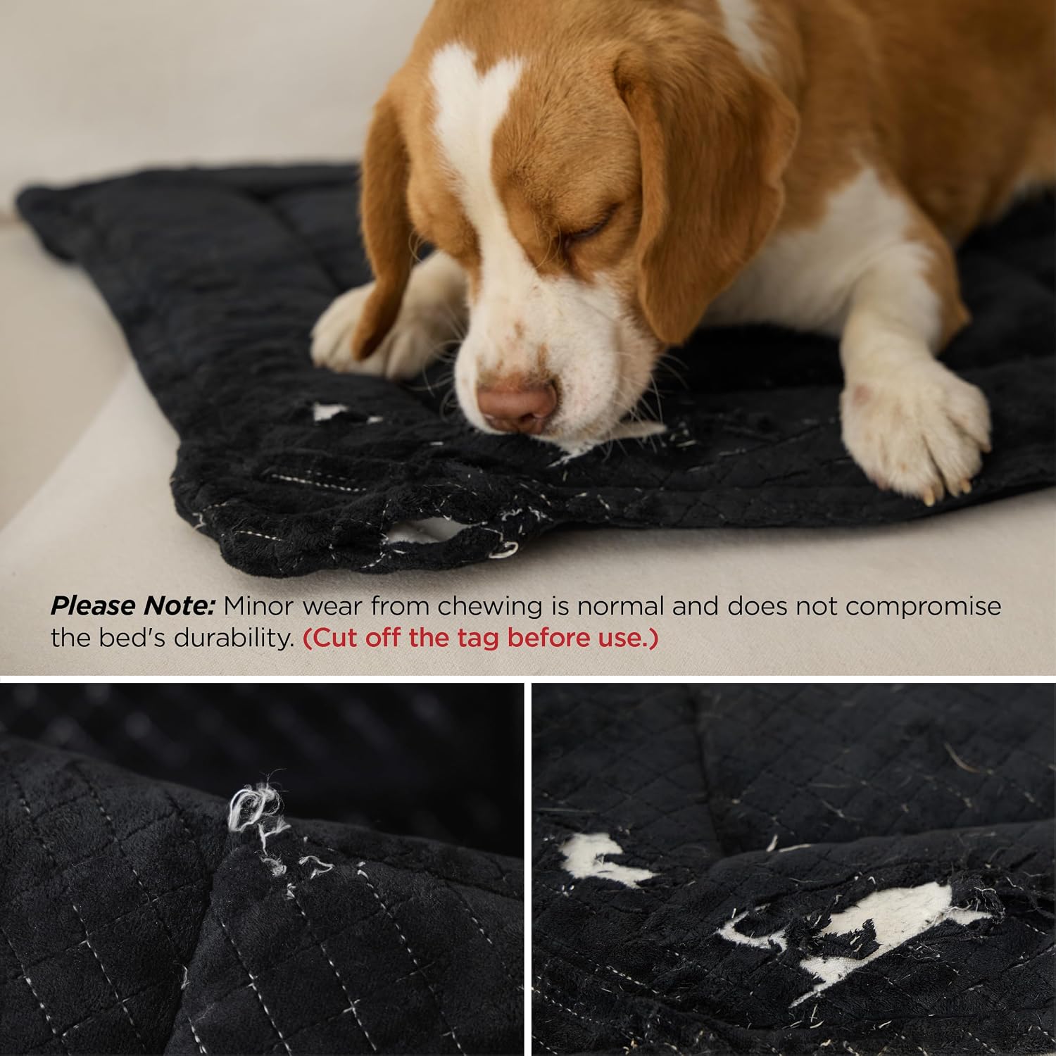 Bedsure Chew Proof Dog Bed for Large Dogs, 35x22 Inch, Black | Chew Resistant Dog Crate Pad Durable Pet Kennel Mat, Reinforced Corners, Machine Washable, Soft Velvet Surface, Easy to Clean